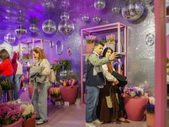 Highlighted image: Prachtige startweek in Keukenhof: de hyacintenshow in disco vibe was een succes!